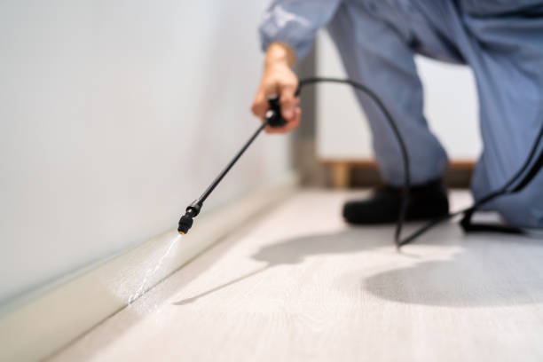 Licensed Pest Control service in Staples, CT - Show Me Pest Control